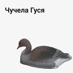 Гусь