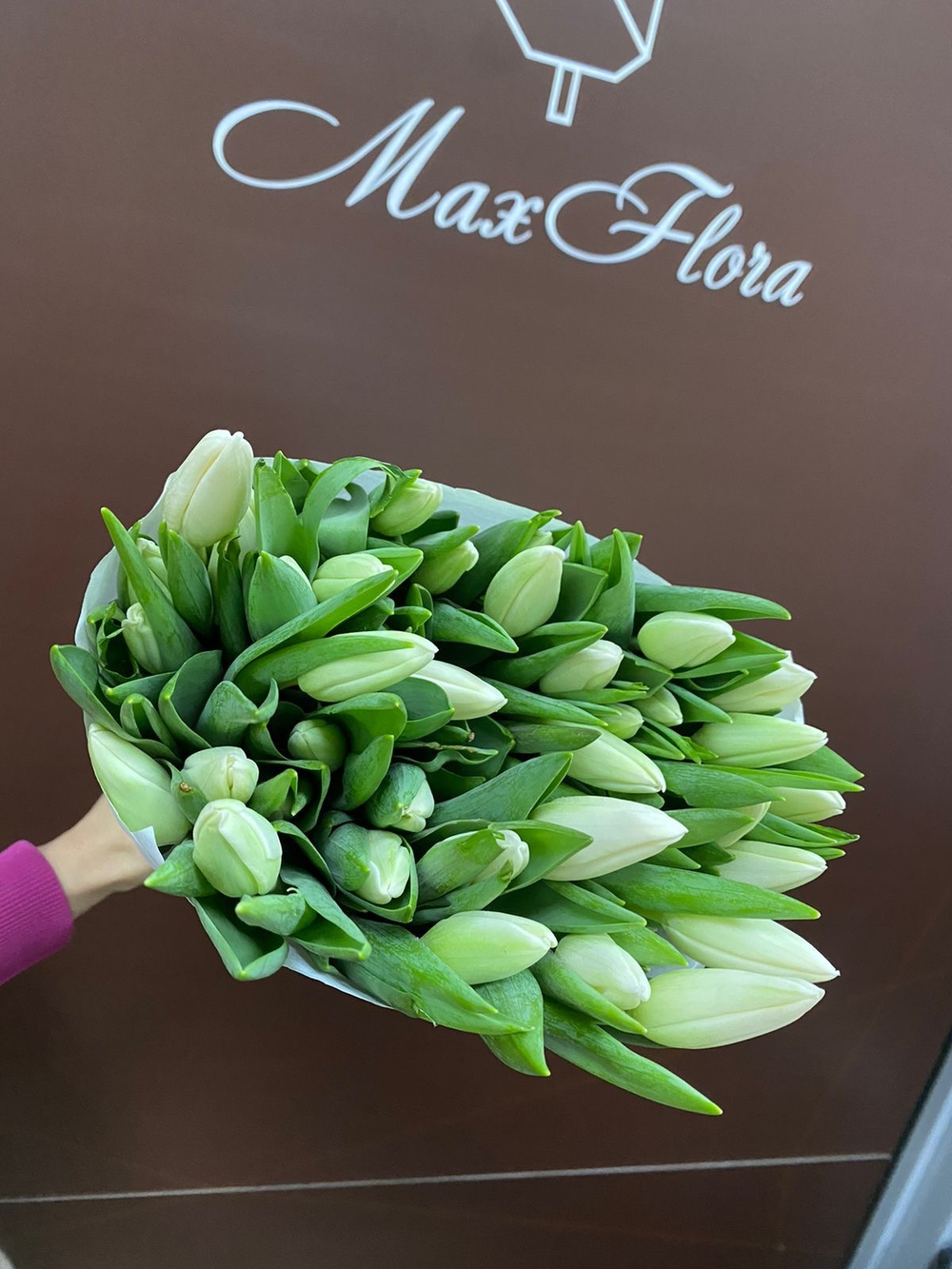 51 Тюльпан 8 Марта М-66