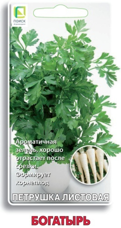 Петрушка Богатырь 3гр Поиск