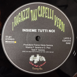 Винтажная виниловая пластинка LP I Ragazzi Dai Capelli Verdi Insieme Tutti Noi (Italy 2008)