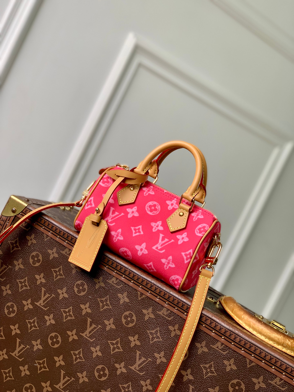 Louis Vuitton Nano Speedy