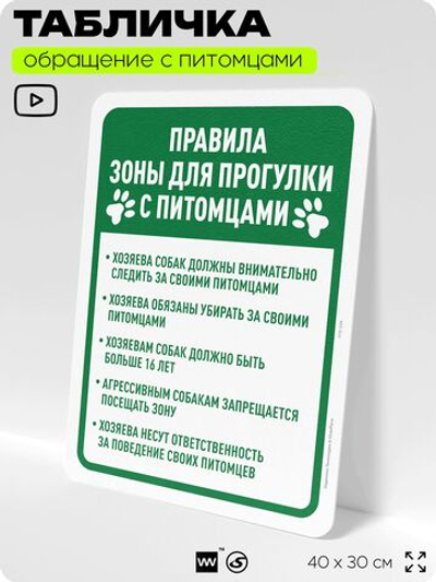 Табличка "Правила зоны для прогулки с питомцами" на дверь и забор, для двора, дома, подъезда, 40х30 см, Silver Plane x Айдентика Технолоджи