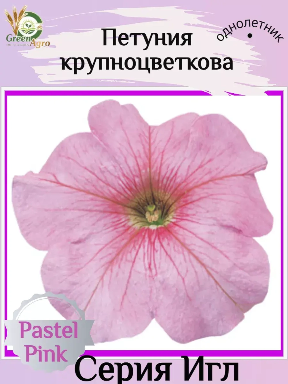 Семена Петуния Крупноцветковая