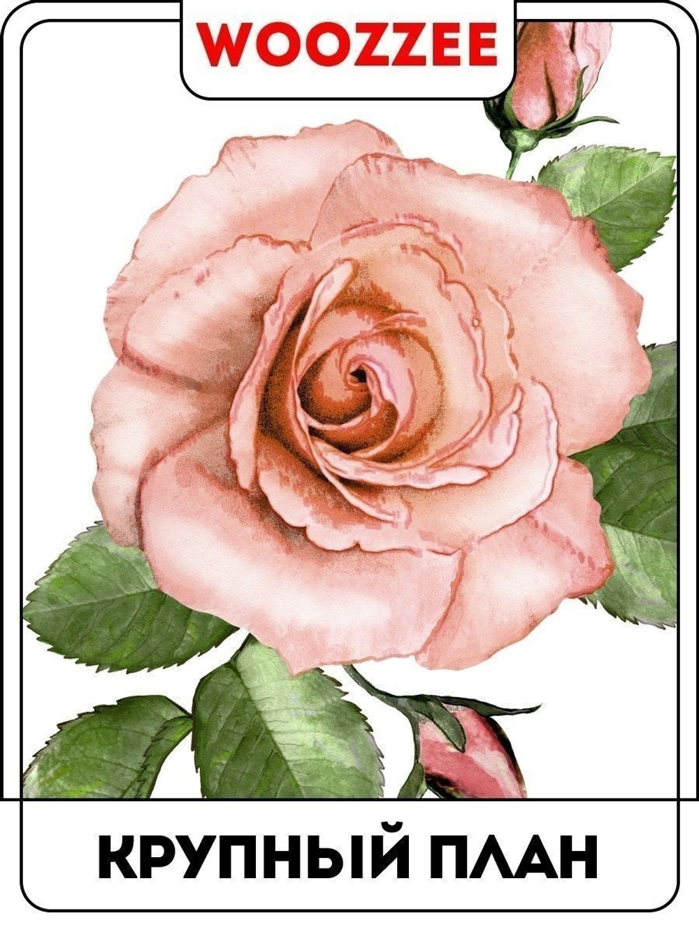 Наклейка декоративная А3 "Розовые розы с листьями"