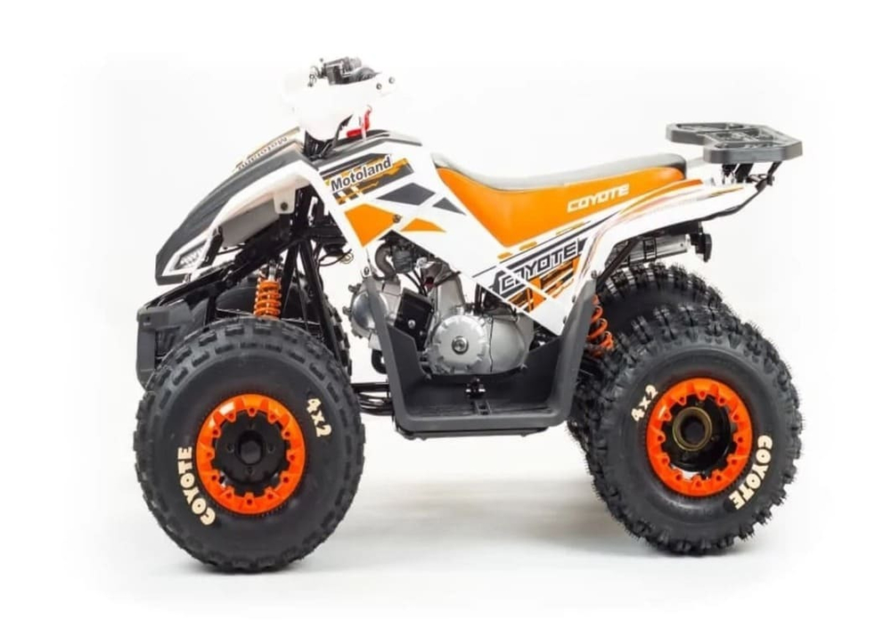 Квадроцикл MOTOLAND 125 Coyote (2021 Г.)