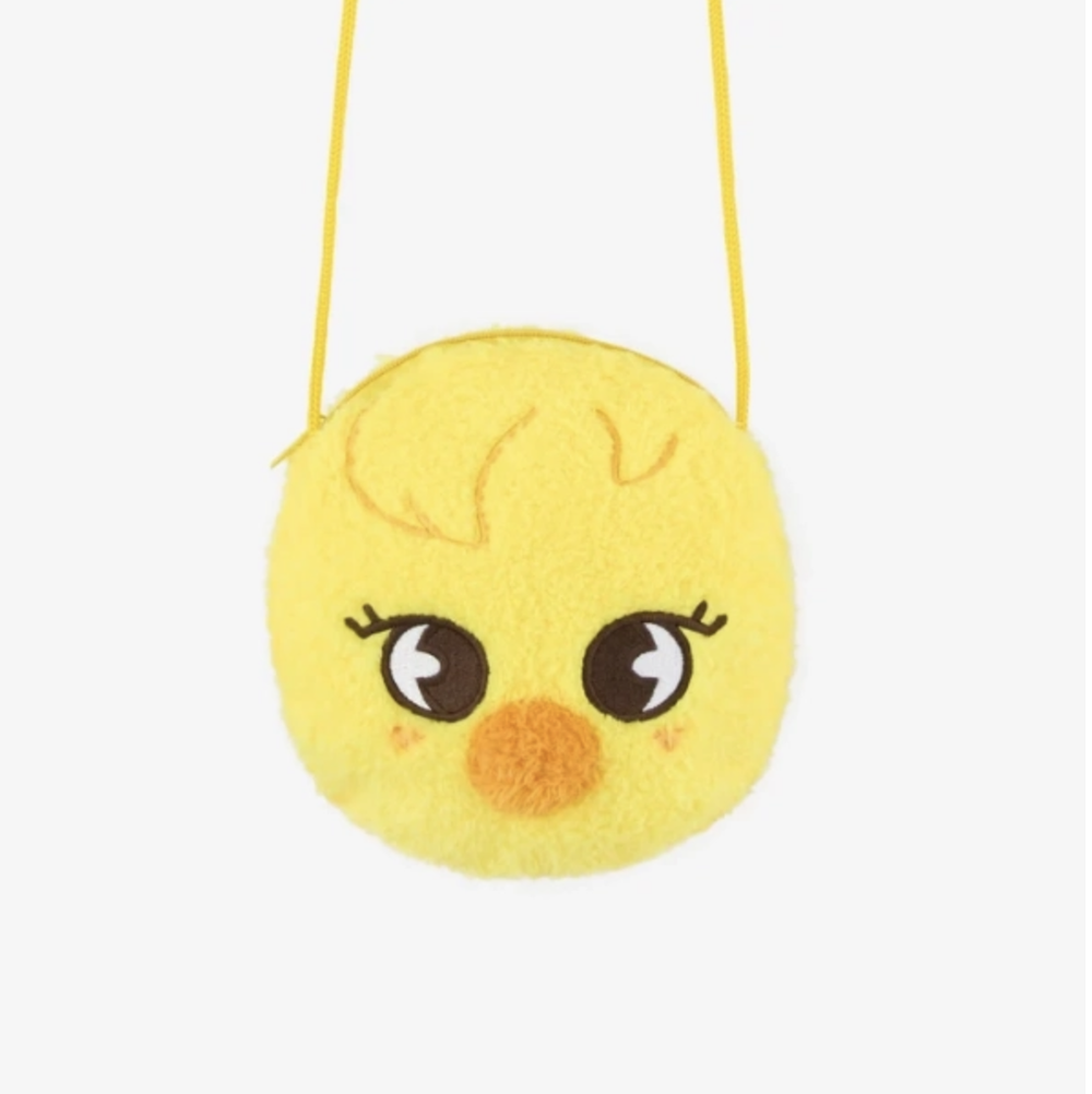 Мерч Stray Kids - [RUN IT JAPAN] SHOLDER POUCH (сумка)