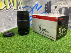 Canon EF 75-300mm 4-5.6 III