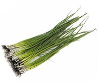 Лук на перо