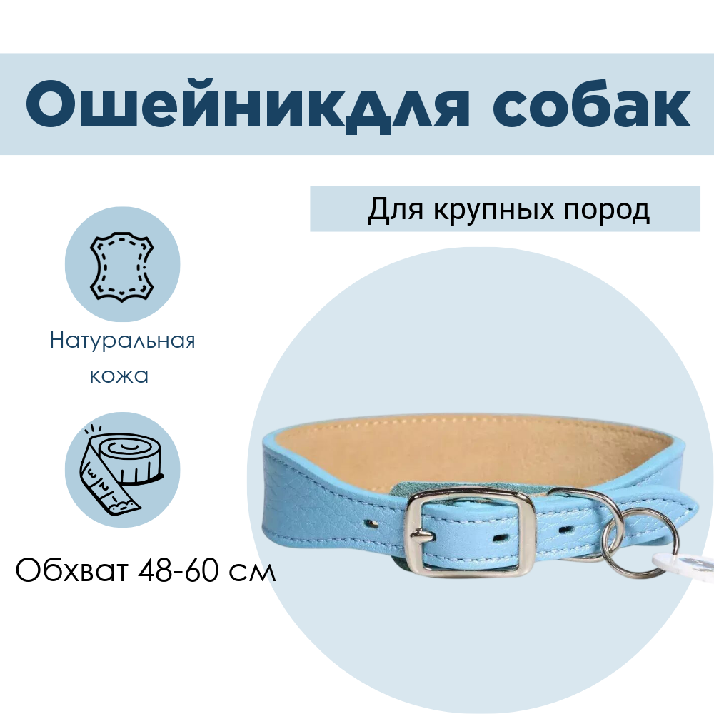 Ошейник Mr.Kranch для собак из натуральной кожи прямой, 48-60 см бирюзовый
