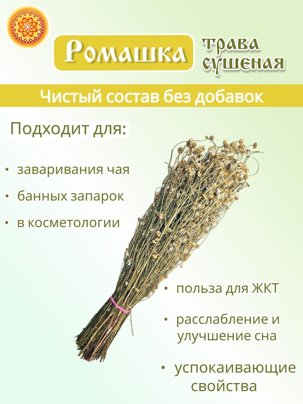 Ромашка пучок, 1 шт.