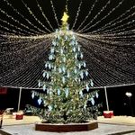 Светодинамическая елка ствольная со скамейкой, встроенная гирлянда: Теплый свет - "Лесная" (Литая хвоя) 12 м