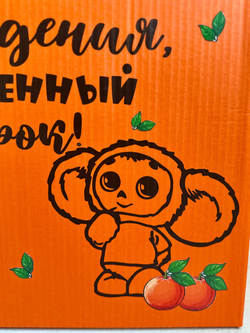 Воздушные гелиевые шарики с доставкой по Хабаровску Чебурашка №4638