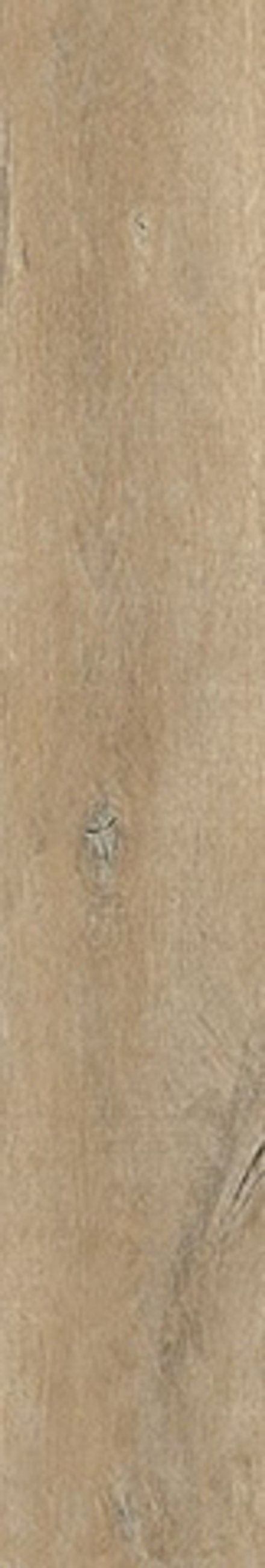 Керамогранит LENK Taupe AS/C/R (28319)