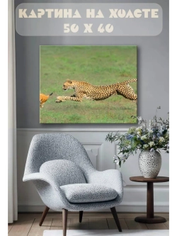 Картина на стену 40 X 50 Гепард