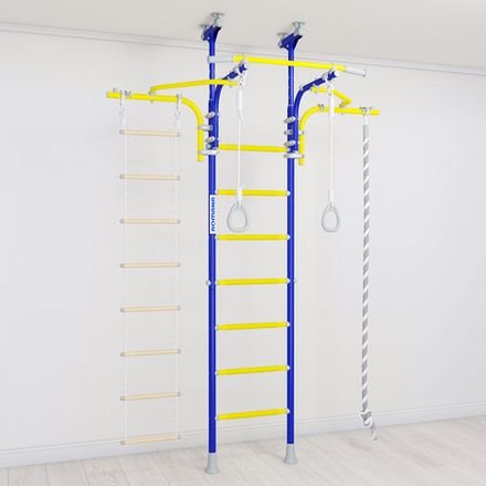 Домашний спортивный комплекс ROMANA R6, синяя слива