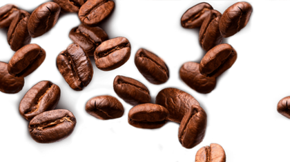 Azərbaycanda yaxşı qəhvəni haradan almaq olar?