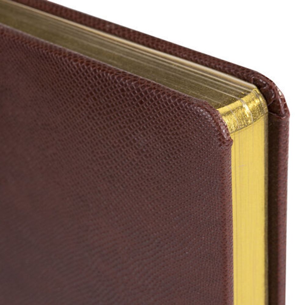 Ежедневник недатированный А5 138х213 мм BRAUBERG "Iguana" под кожу, 160 л., темно-коричневый, 125090