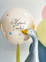 Воздушные шары для девочки №9014