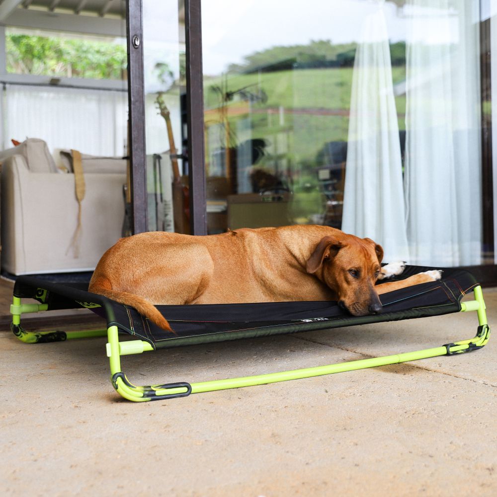 Лежанка Air.Bed BLACK Zee.Dog