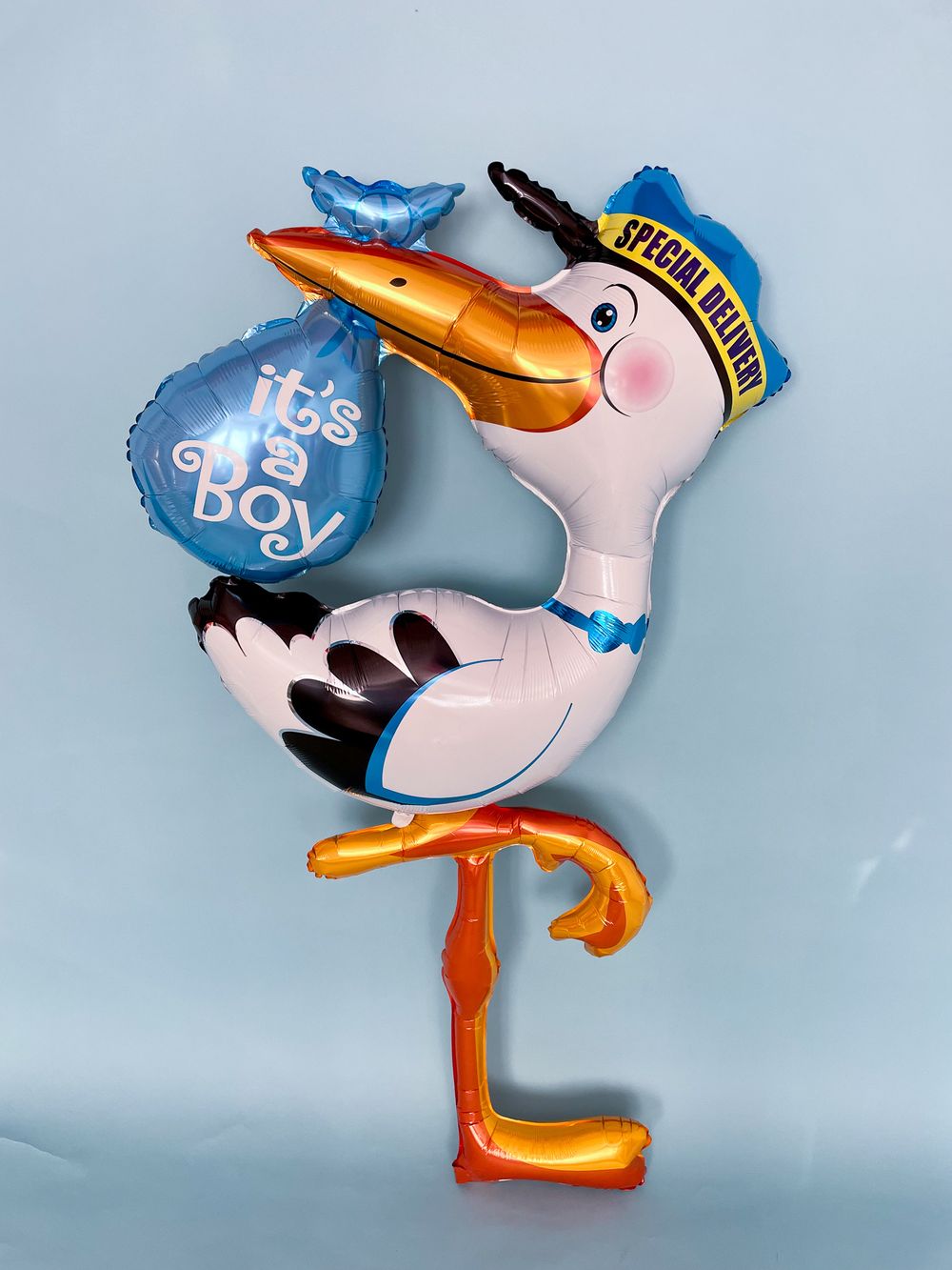 Аист ходячий выписка мальчик (БГ-60)  Изображение2