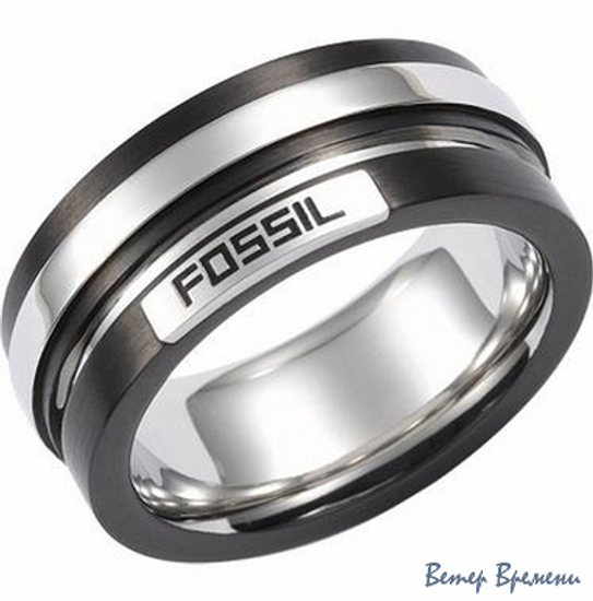 Бижутерия Fossil JF84211040 (220)