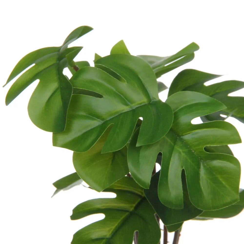 Цветочная композиция в стеклянном горшке «Монстера» 10*22см HL-19