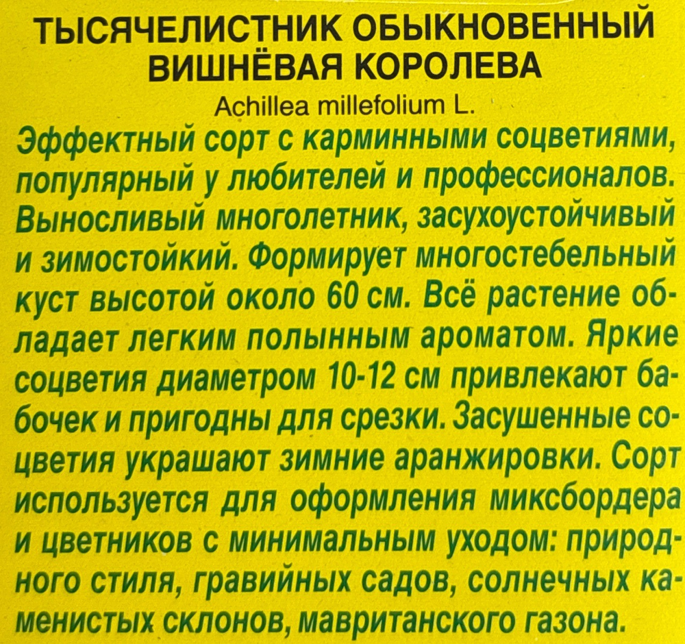 Тысячелистник Вишневая королева СМЦ-945