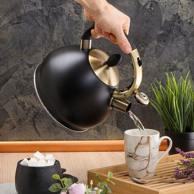 Чайник нерж, 3 л, свист, ручк металл, Daniks, индукц, M-079