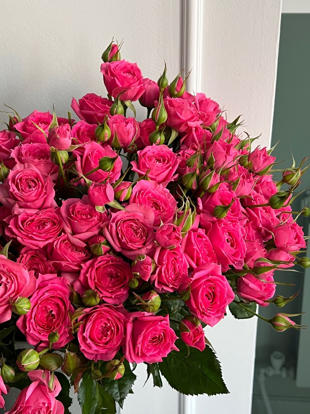 Пионовидная кустовая роза в ярко розовом оттенке