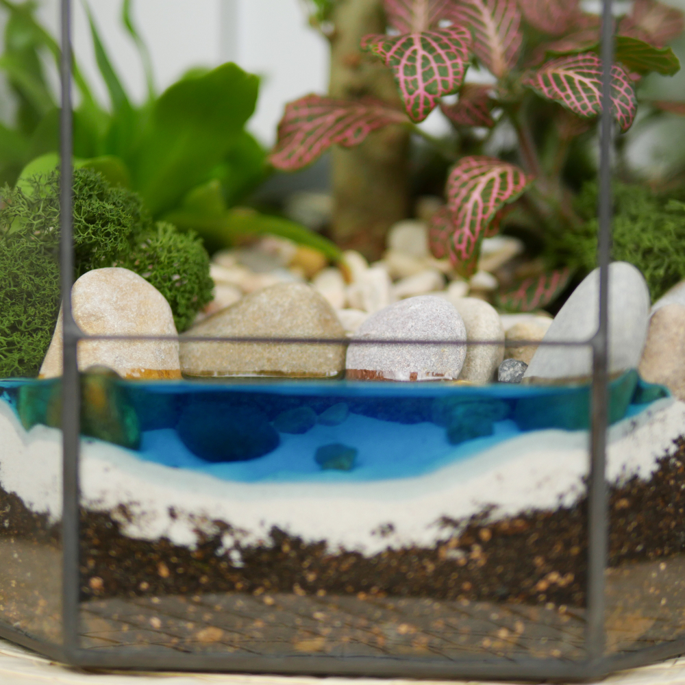 Готовый флорариум бонсай Лигуструм Бонсариум с озером