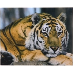 Алмазная мозаика на подрамнике с полным заполнением «МИР ЯРКИХ КРАСОК», тигр, 30*40см