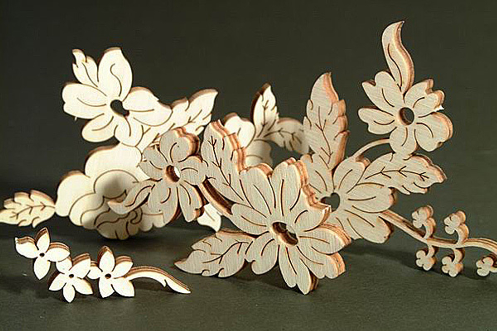 Лазерный гравер Raylogic 11G 1610 Максима+