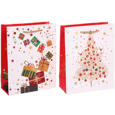 Пакет подарочный «Волшебный год» 18*23*8 см, микс
