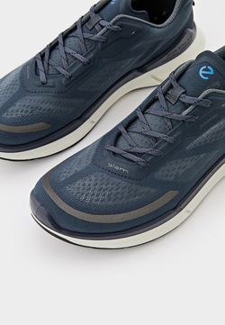 Кроссовки мужские ECCO BIOM 2.2 M