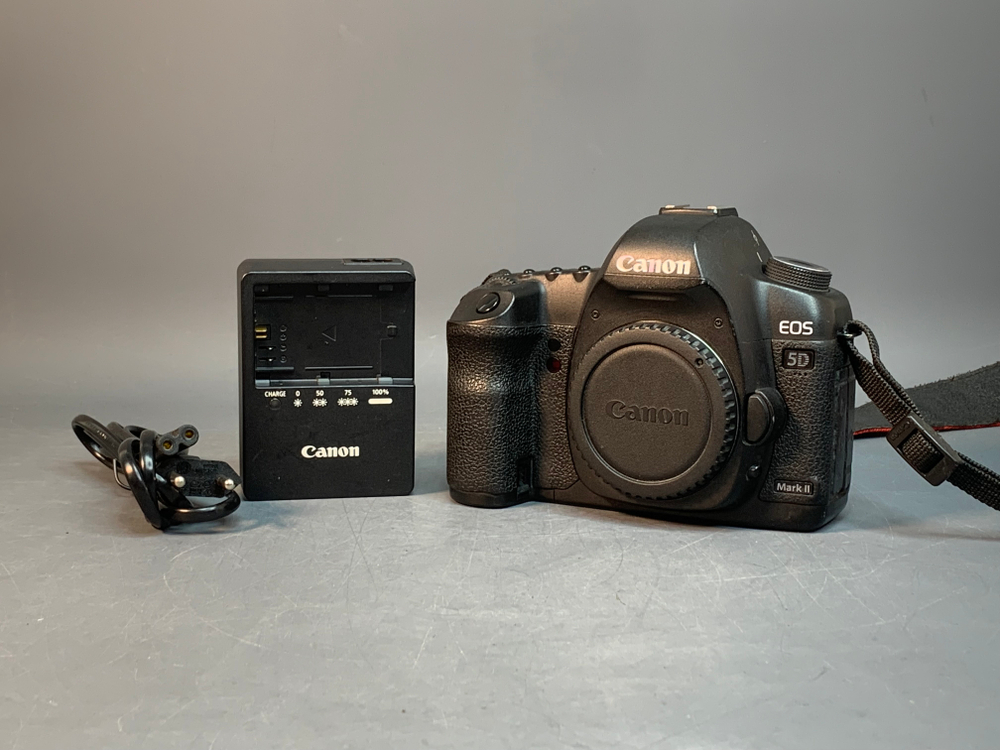 Canon EOS 5D Mark II 429.043 кадров