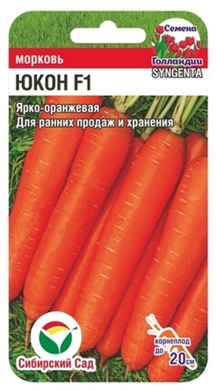 Морковь Юкон Сиб сад
