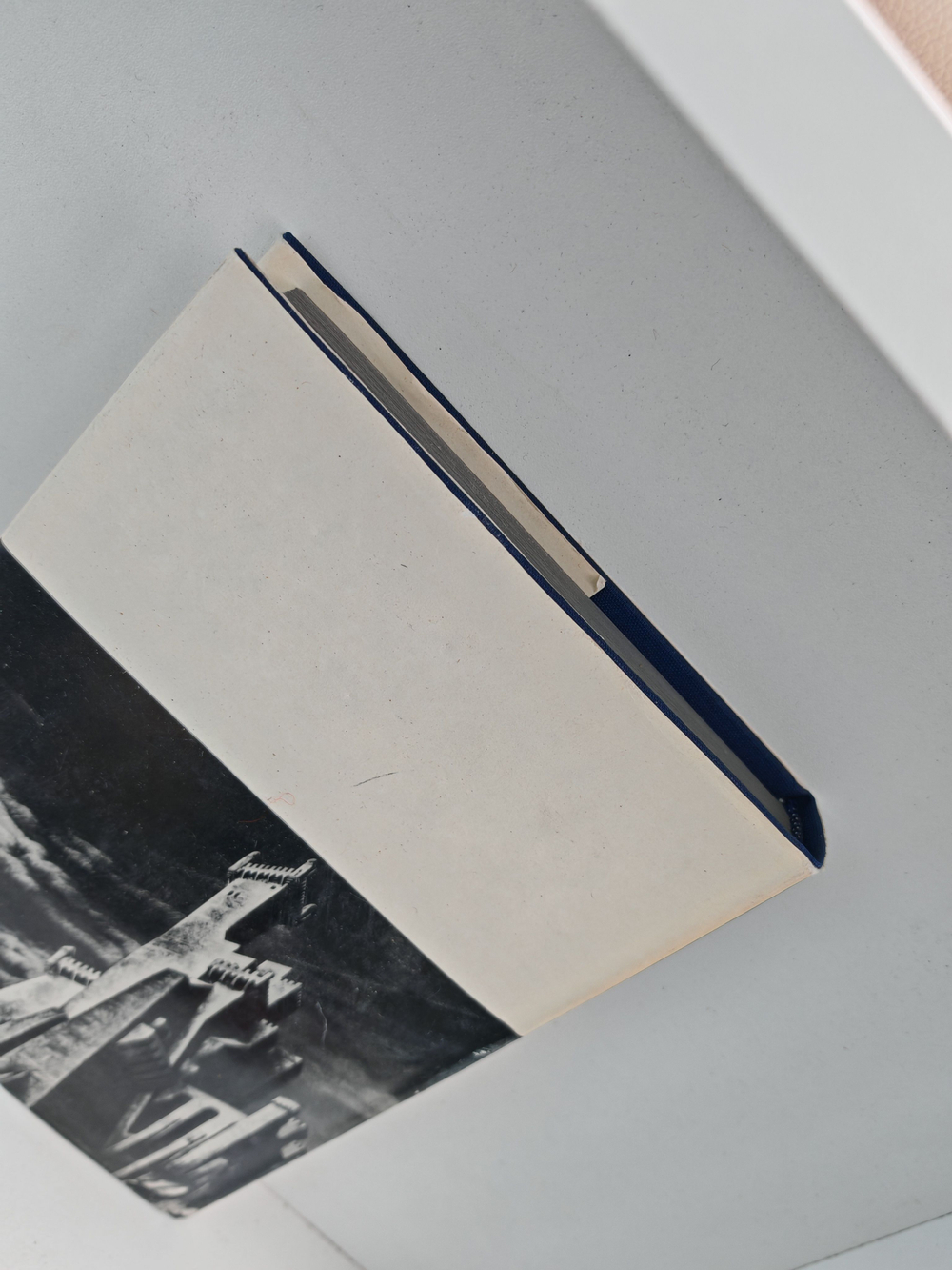 Витязь в тигровой шкуре