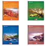 Тетрадь А5, 48 л., BRAUBERG ЭКО, гребень, клетка, обложка картон, ПРИРОДА, 401874, 4шт