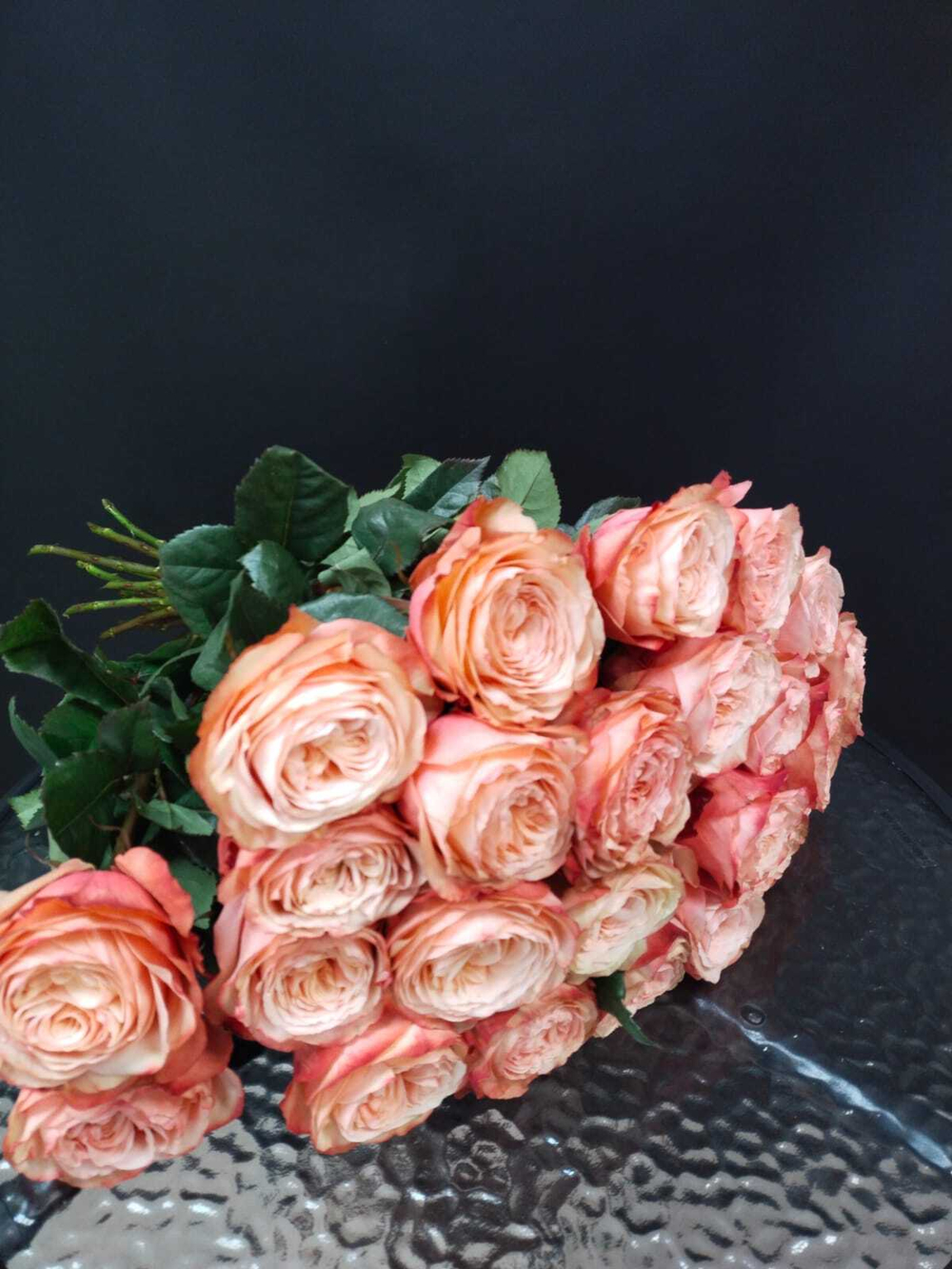 Роза Кахала (пионовидная)