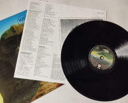 Винтажная виниловая пластинка LP Kiss Hot In The Shade (Germany 1989)