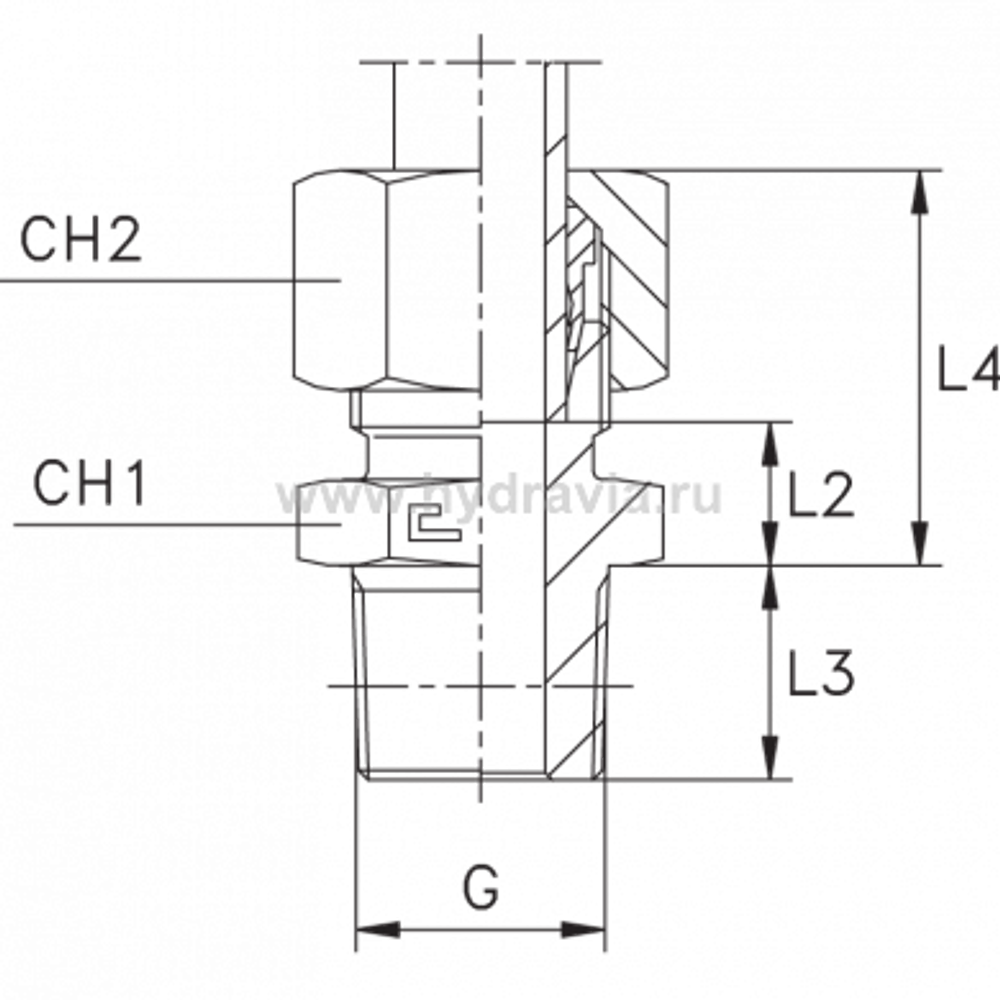 Штуцер FC DS12 BSPT 3/8&quot; (в сборе) нерж.