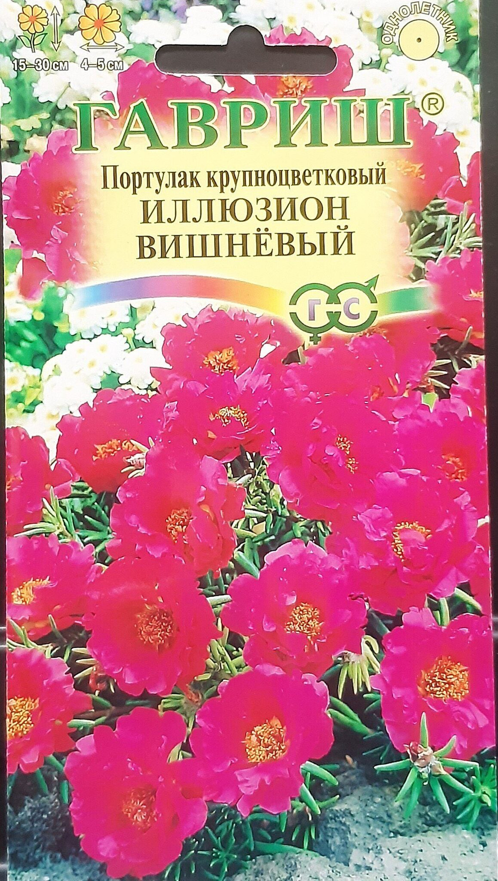 20240213_090207