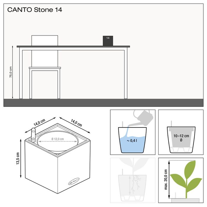 Lechuza Canto Stone 14