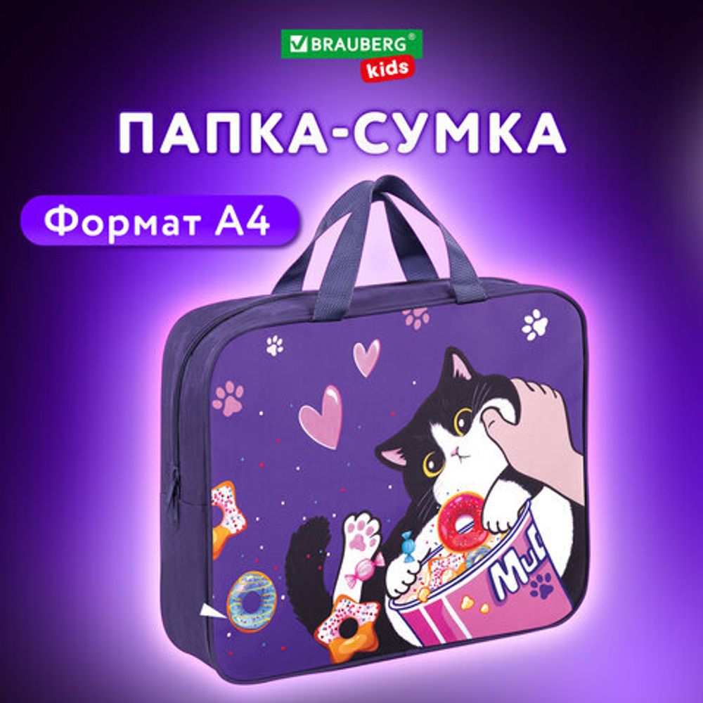 Папка на молнии с ручками BRAUBERG KIDS А4, 1 отделение, полиэстер, 80 мм, "Sweet cheeks", 272120