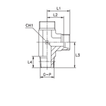 Штуцер FLC DL35 NPT1.1/4" (корпус)