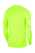 Вратарская кофта Nike Dry Park IV LS GK Junior