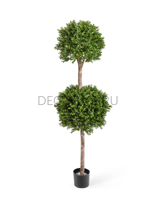 Самшит шар двойной уличный новый д-40,45 см 160 см 1/1 10.43905N