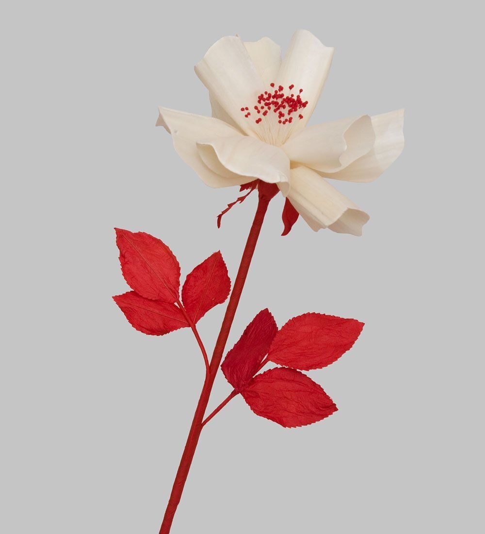 TR 404 Китайская роза