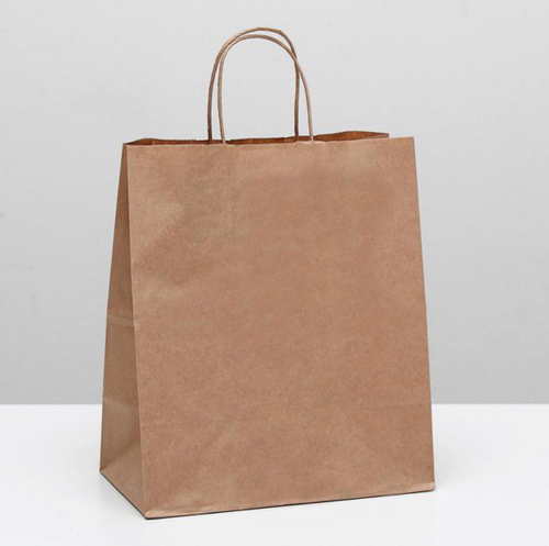 Пакет бумажный с ручками 24*14*28 см маленький (крафт)