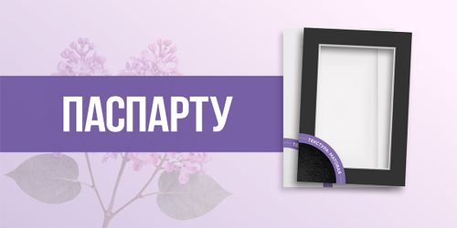 Паспарту
